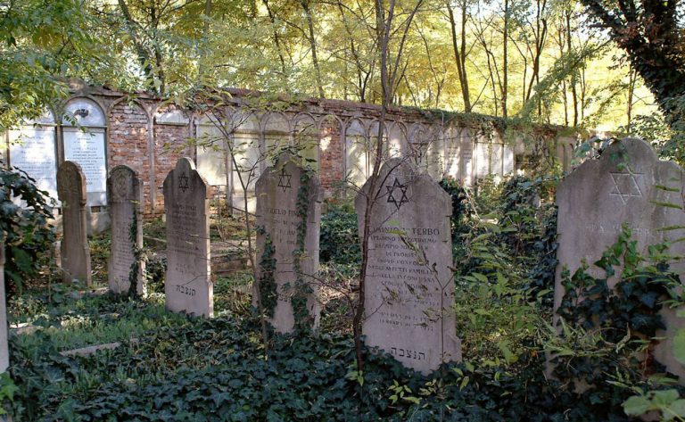 Emilia ferrara p,fe,2016,ferrara,cimitero_ebraico,f,11740,baraldi