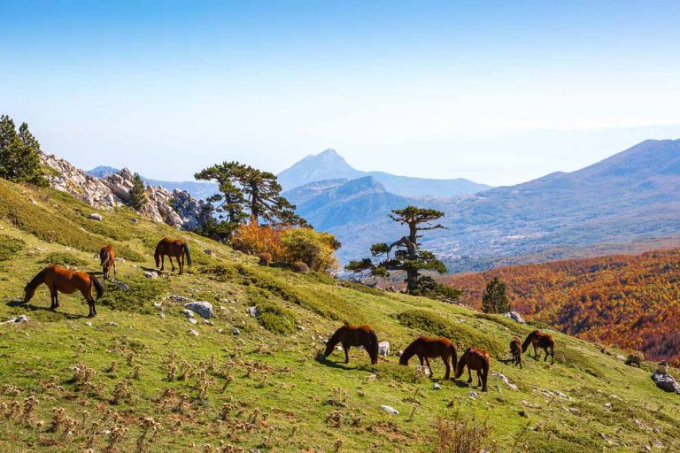 Autumn in Pollino National Park, southern Italy.  View from Serra Di Crispo.