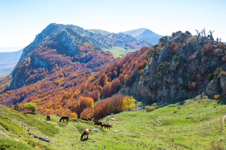 Autumn in Pollino National Park, southern Italy.  View from Serra Di Crispo