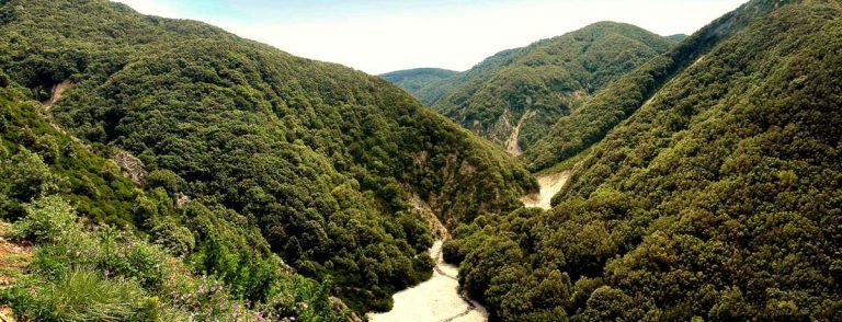 Calabria Parco aspromonte
