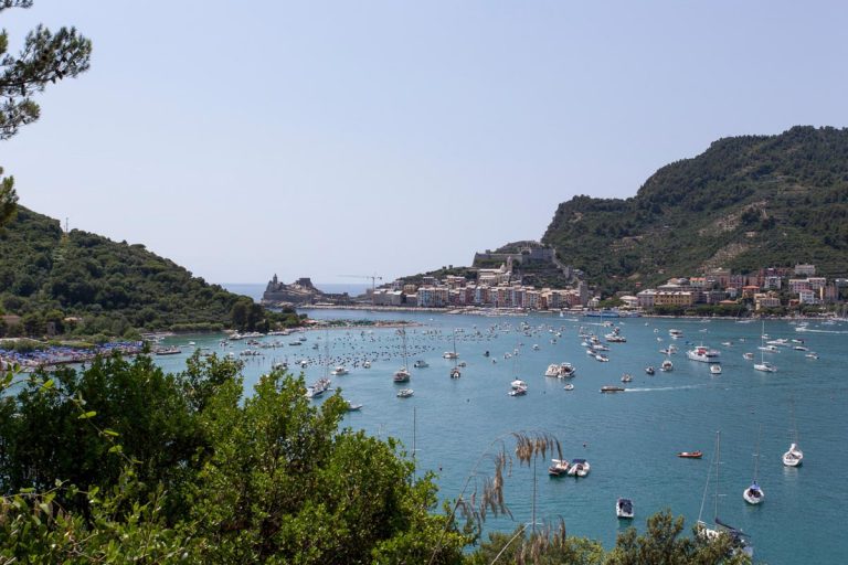 PALMARIA, ITALY - JULY 14: view of Portovenere from Palmaria island during summer, many boats in the sea on July 14, 2019