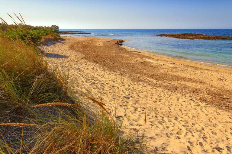 SUMMER.Salento coast: a nature reserve of Torre Guaceto.BRINDISI (Apulia)-ITALY- A nature sanctuary between the land and the sea.