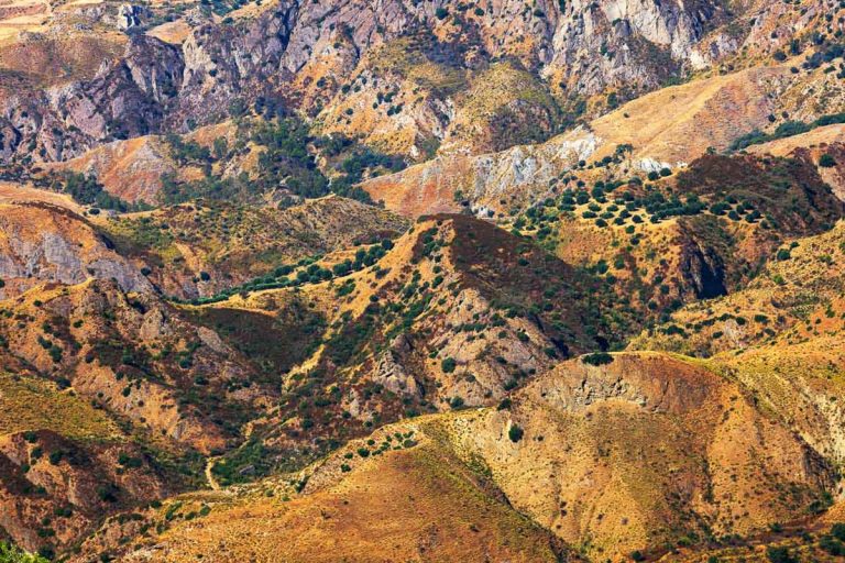 Colorful dry hills of Aspromonte with olive hills