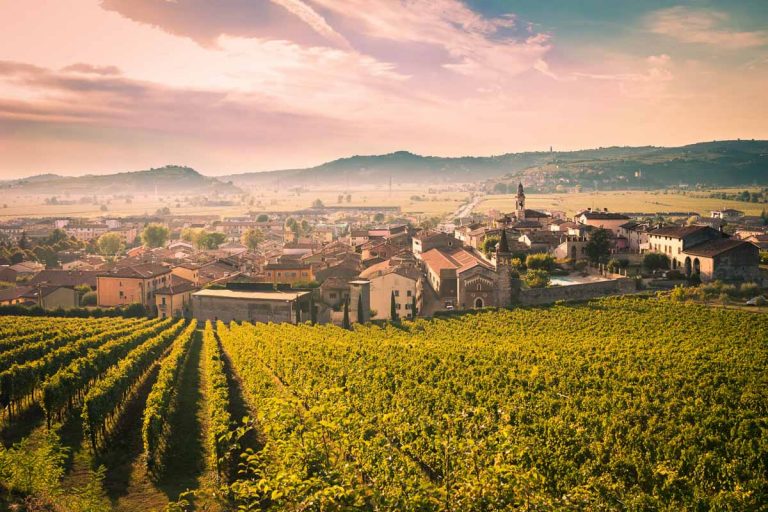 soave