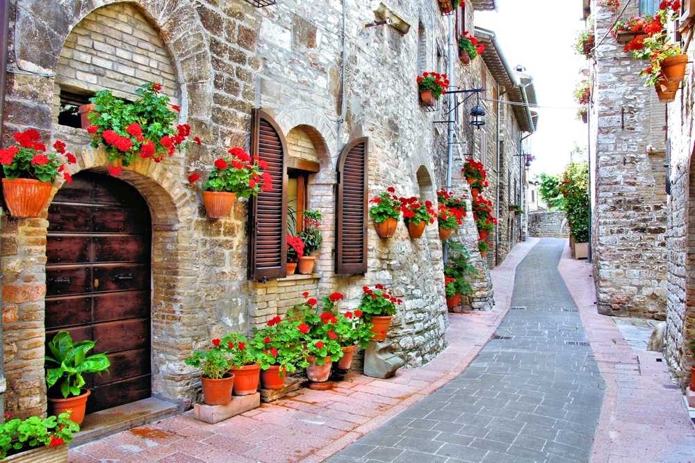 Assisi4