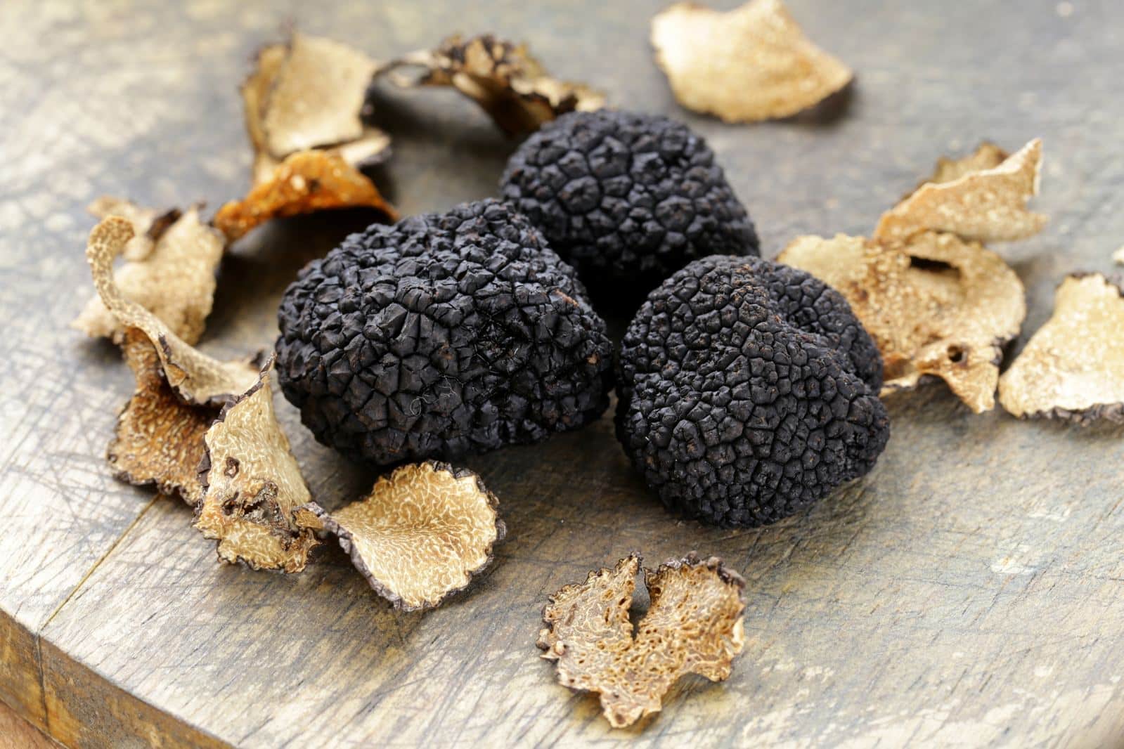 tartufo-nero