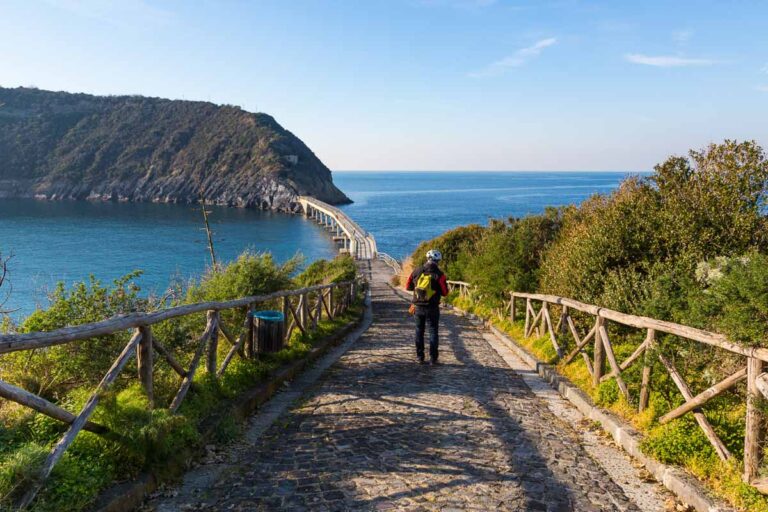 Campania-Procida-Riserva-naturale-Statale-isola-di-Vivara-shutterstock_1639763692.jpg