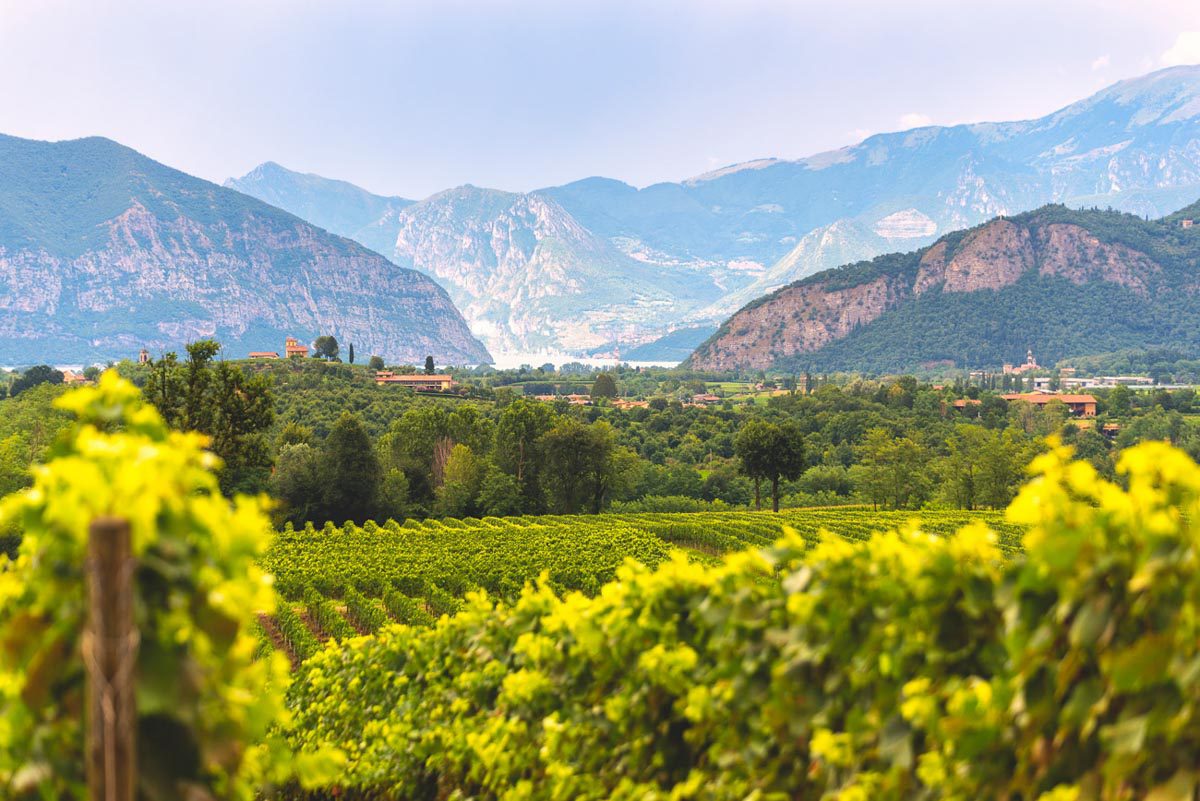 Franciacorta-italy.jpg