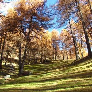 Parco Nazionale dello Stelvio